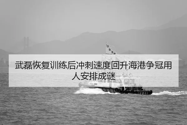 武磊恢复训练后冲刺速度回升海港争冠用人安排成谜